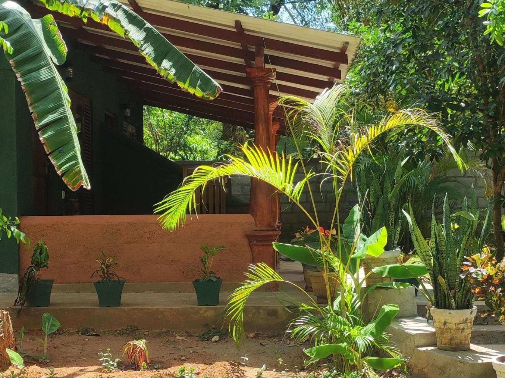 Hotel Jaana Guest Sigiriya Exterior foto